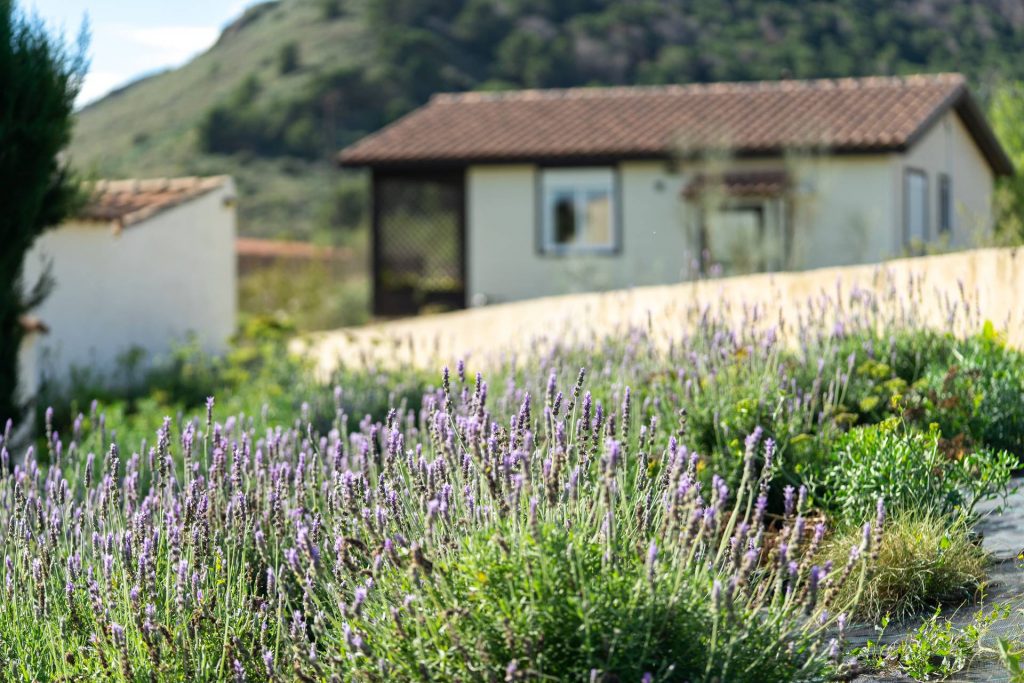 Finca Liarte fotos detalle9